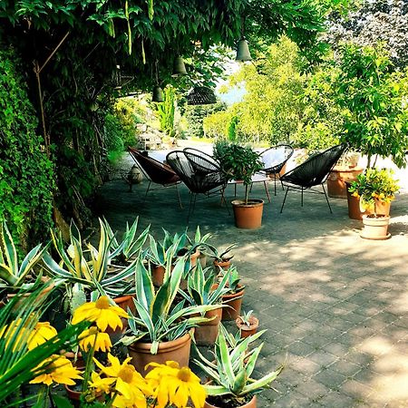 La Vinea Διαμέρισμα Caldaro Εξωτερικό φωτογραφία